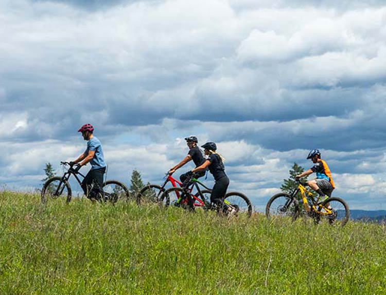 bikes-opt